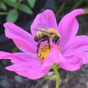 Meet your Posher, Posh